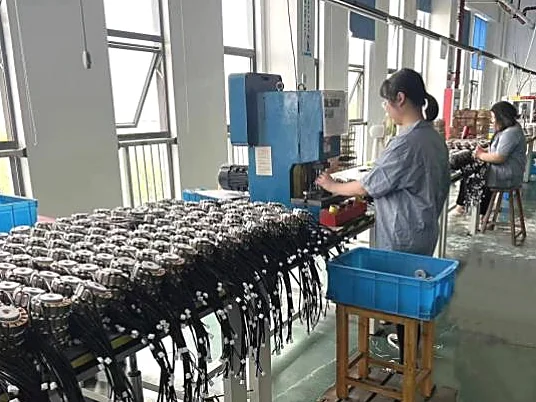 Wiring and final assembly, HSE MOTOR factory